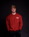 Ekkovision Crew Sweatshirt (Size Up)