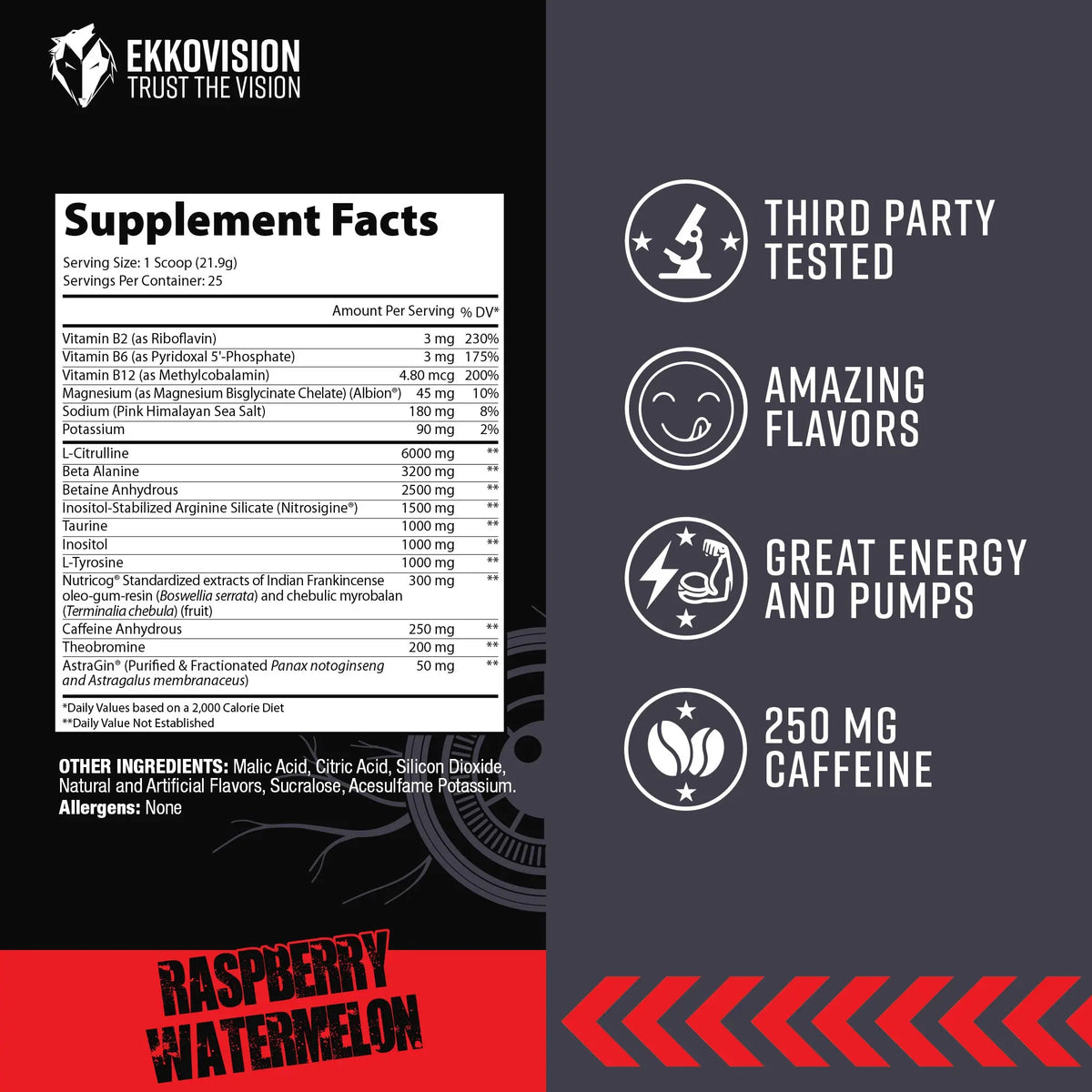 Ekkovision Watermelon Raspberry Ekko OB Mix Signature Preworkout – ekkovision