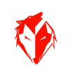 ekkovision